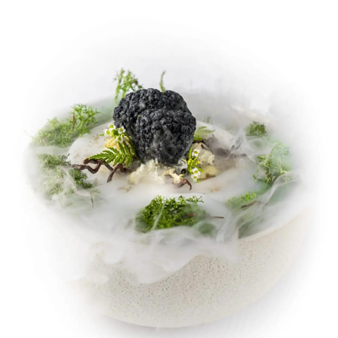 Truffle Mold - MoldBrothers