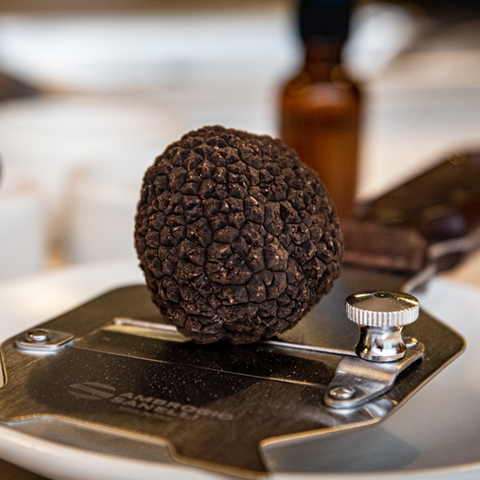 Trufa Negra de Otoño Fresca Italiana - Trufa Arte