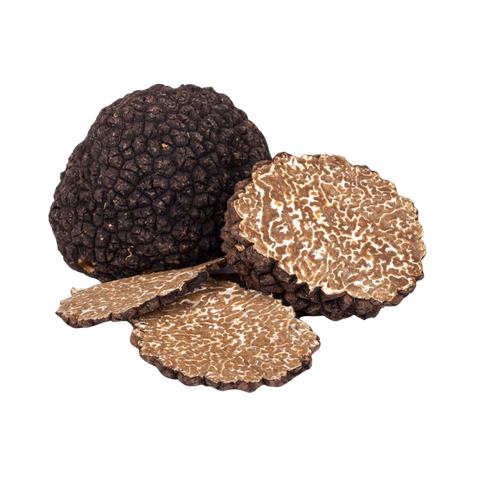 Trufa Negra de Otoño Fresca Italiana - Trufa Arte